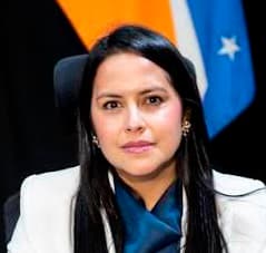 Concejal Río Grande